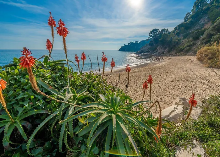 Дом отдыха Valerie's Lux Summer House *